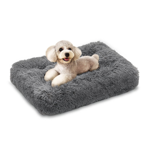 Gray Dog Beds You'll Love Wayfair